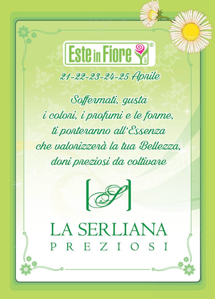 serliana 1